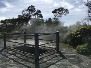 steam vents