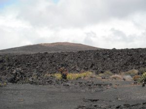 What to do in Hawaii Volcanoes National Park | Volcano inn Hawaii Hotel