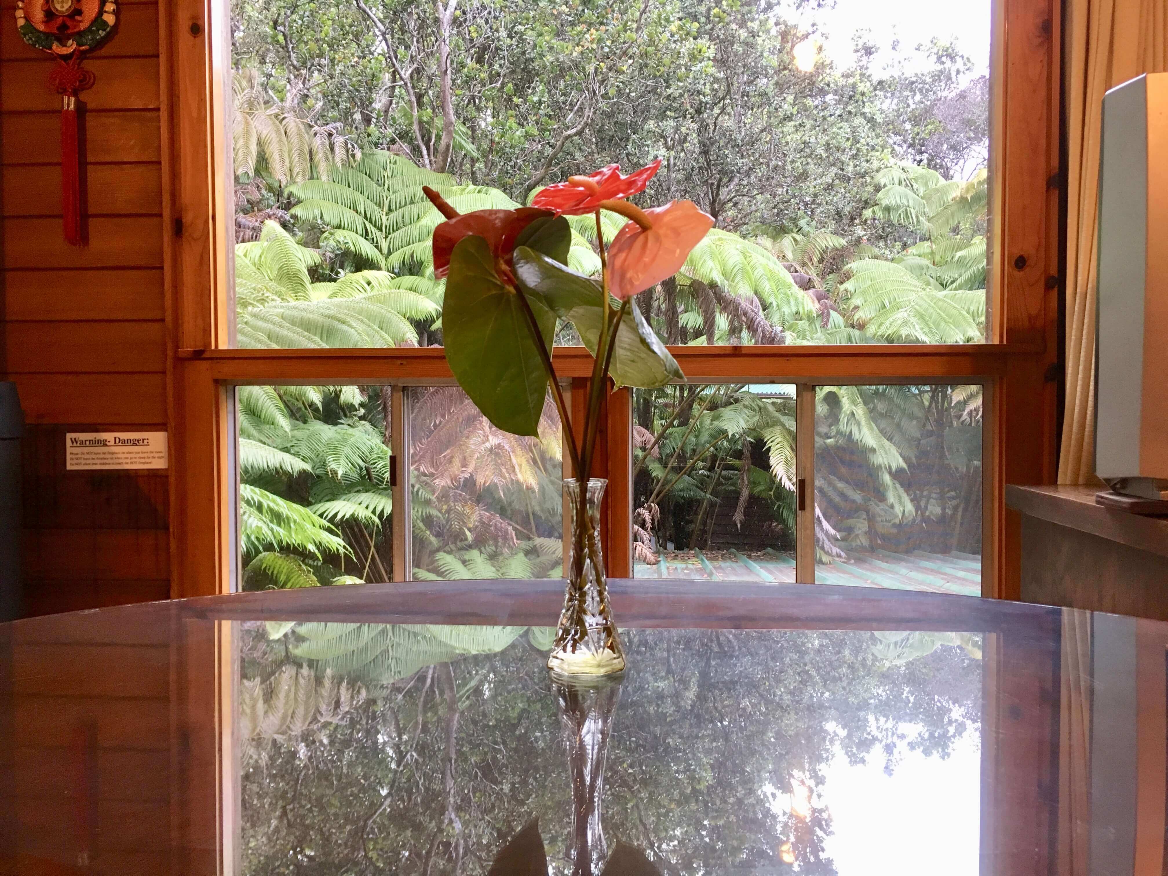 kilauea lodge - volcano inn - volcano window table flower